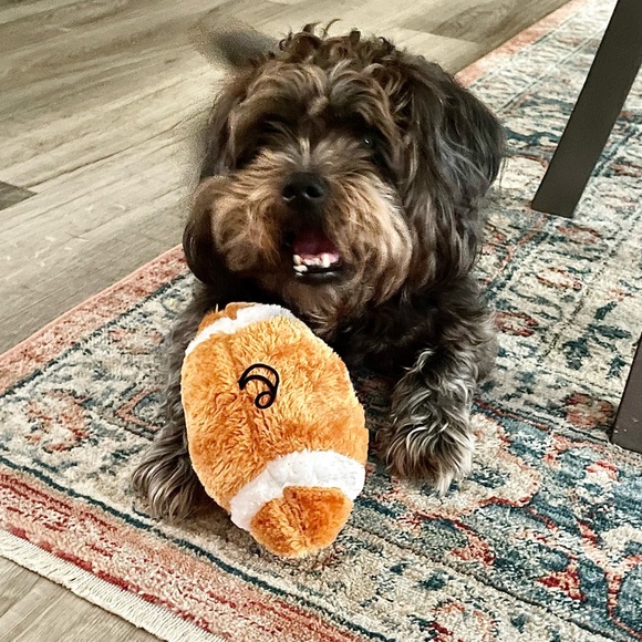 ✨Victoriacole988 is LIVE✨ - Picture 4 of 7